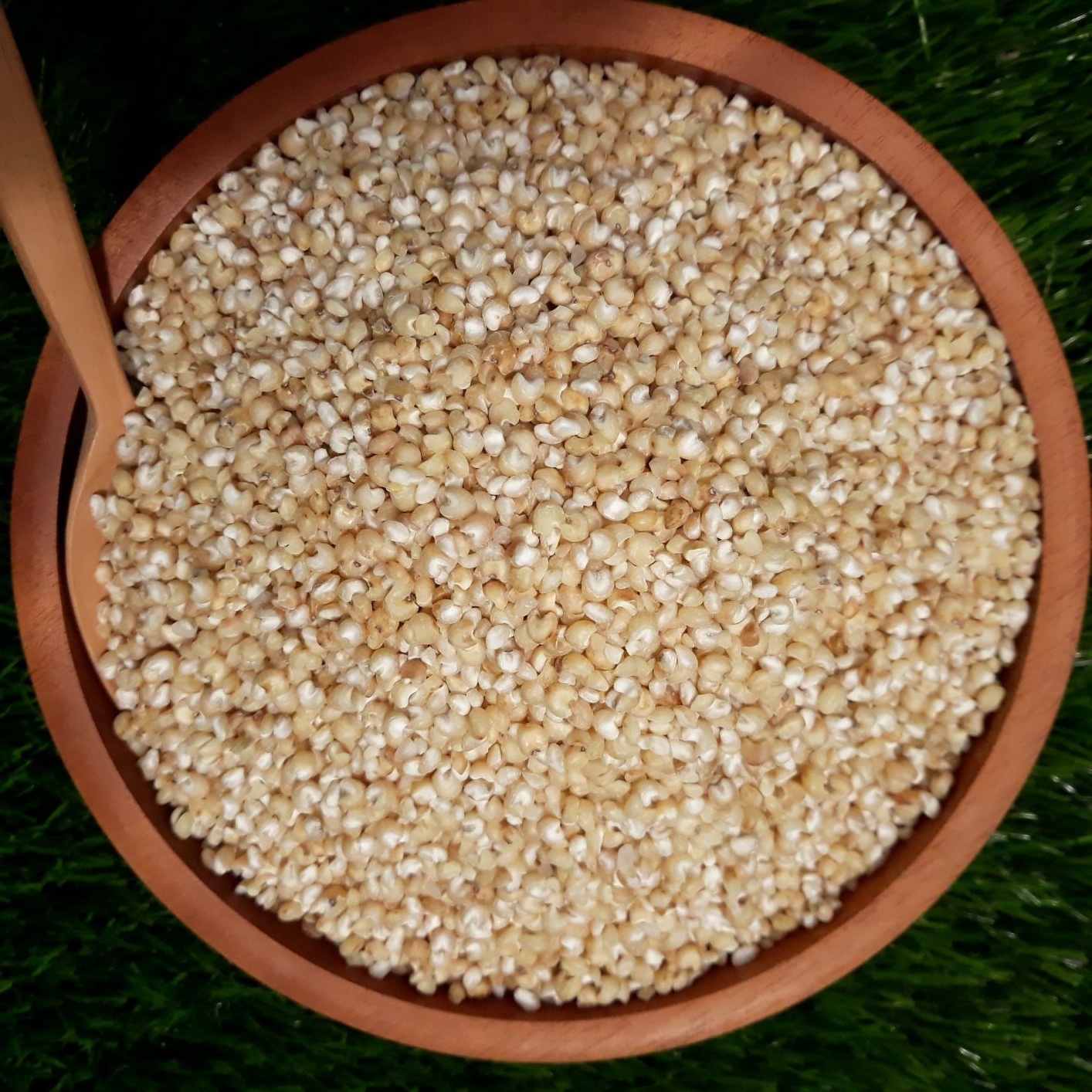 Beras Sorgum Sosoh FRESH langsung dari Petani I Sorghum I 2kg Vacuum