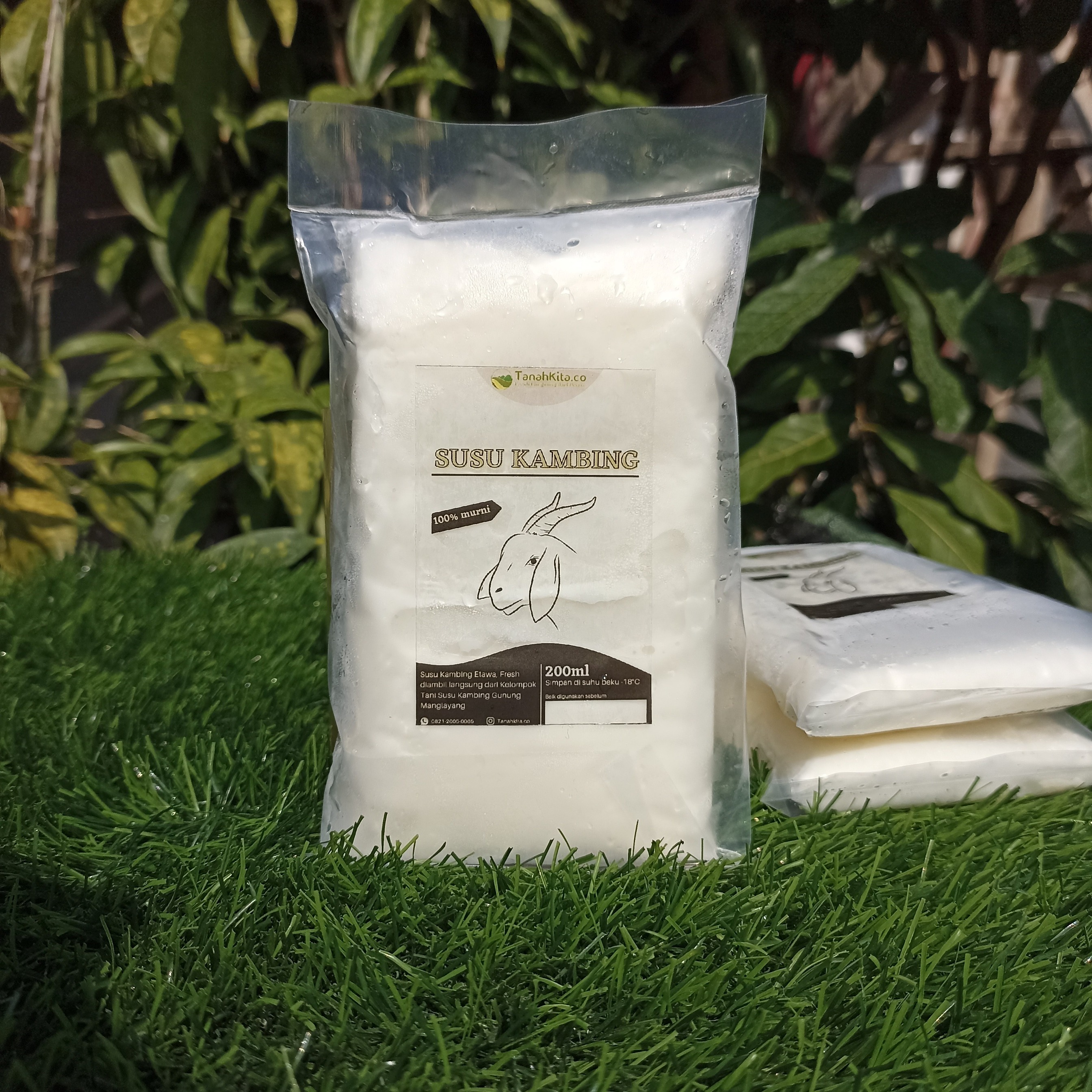 Susu Kambing Murni Etawa I Fresh langsung dari Peternak I 200ml