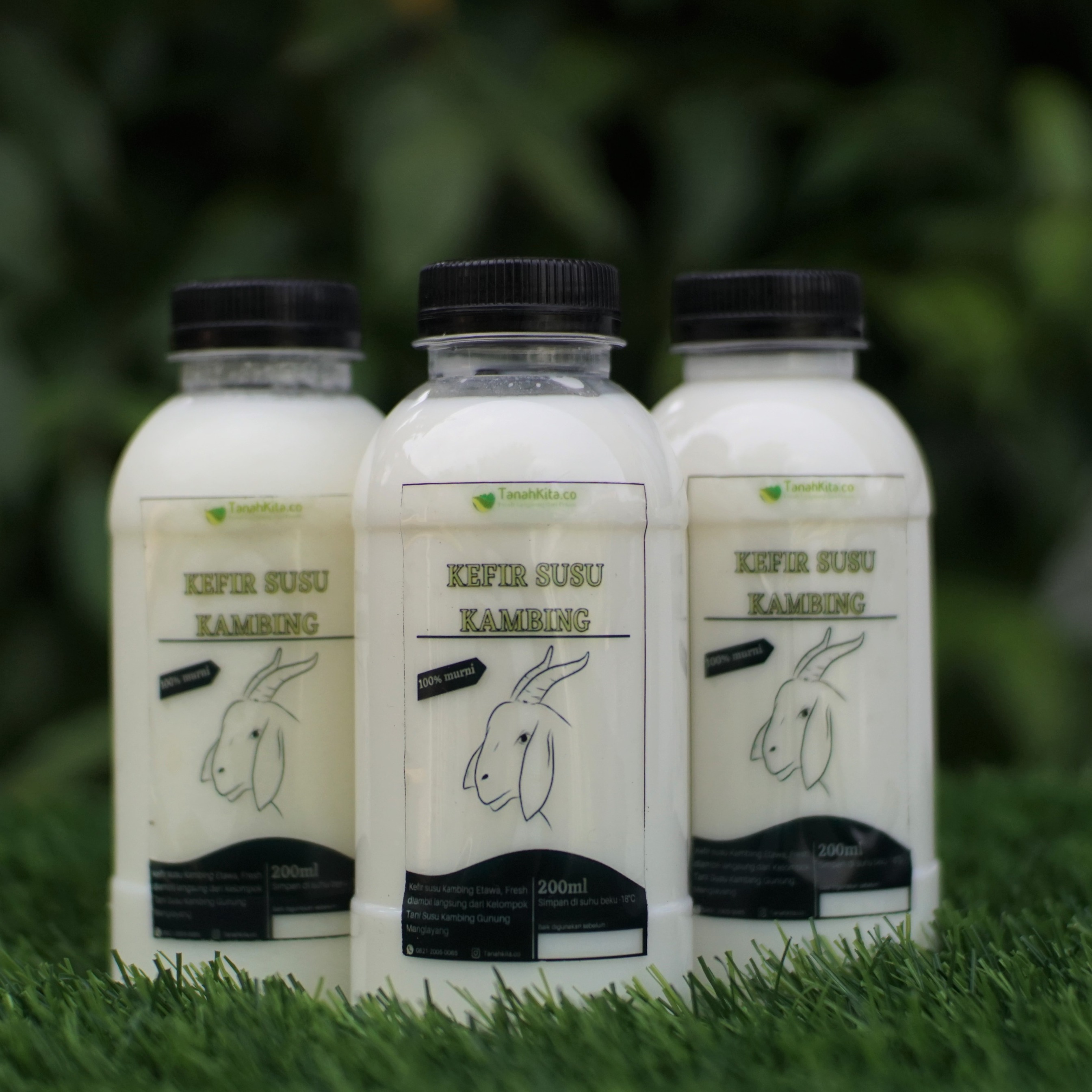 Kefir Susu Kambing Murni Etawa I Fresh Langsung Dari Petani