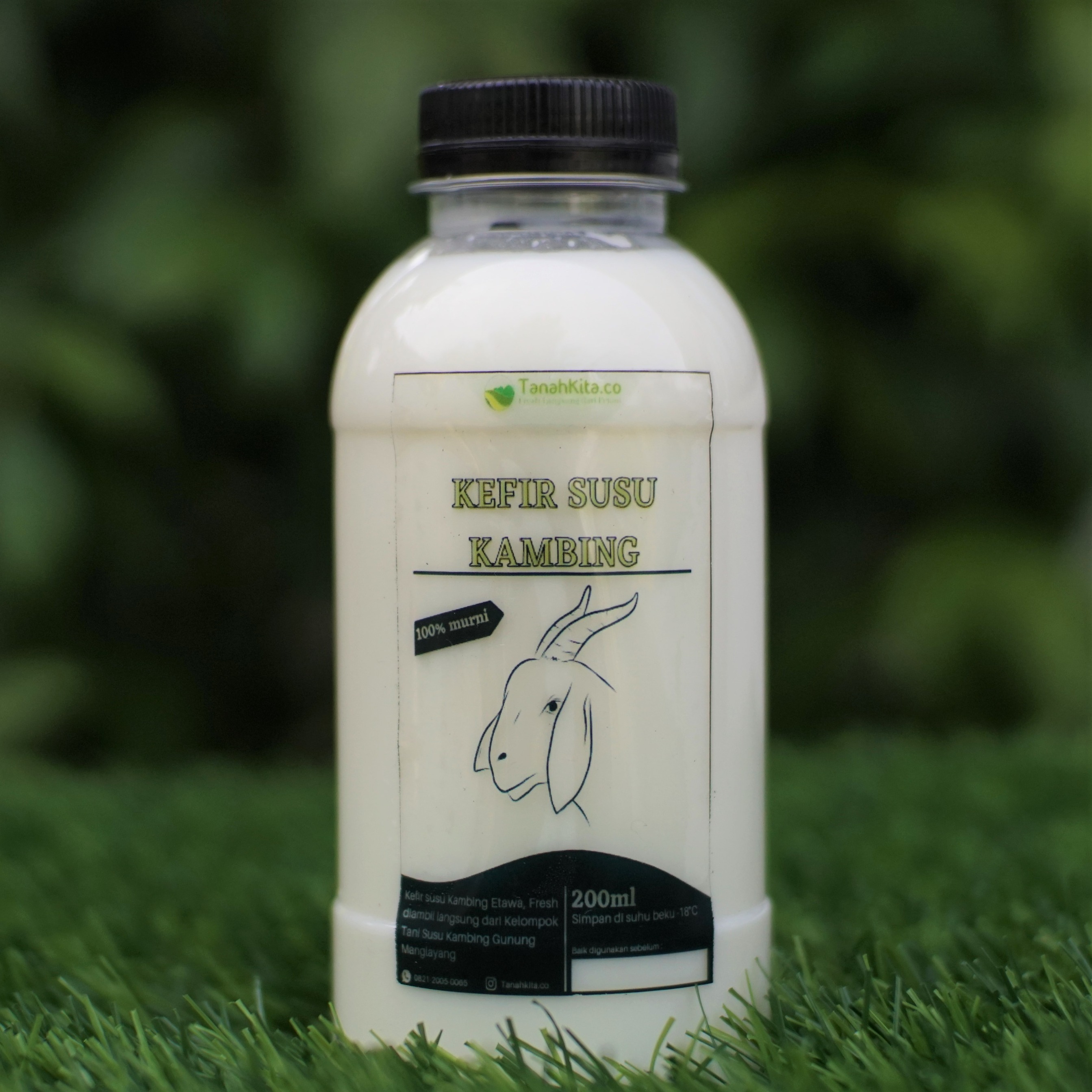 Kefir Susu Kambing Murni Etawa I Fresh Langsung Dari Petani