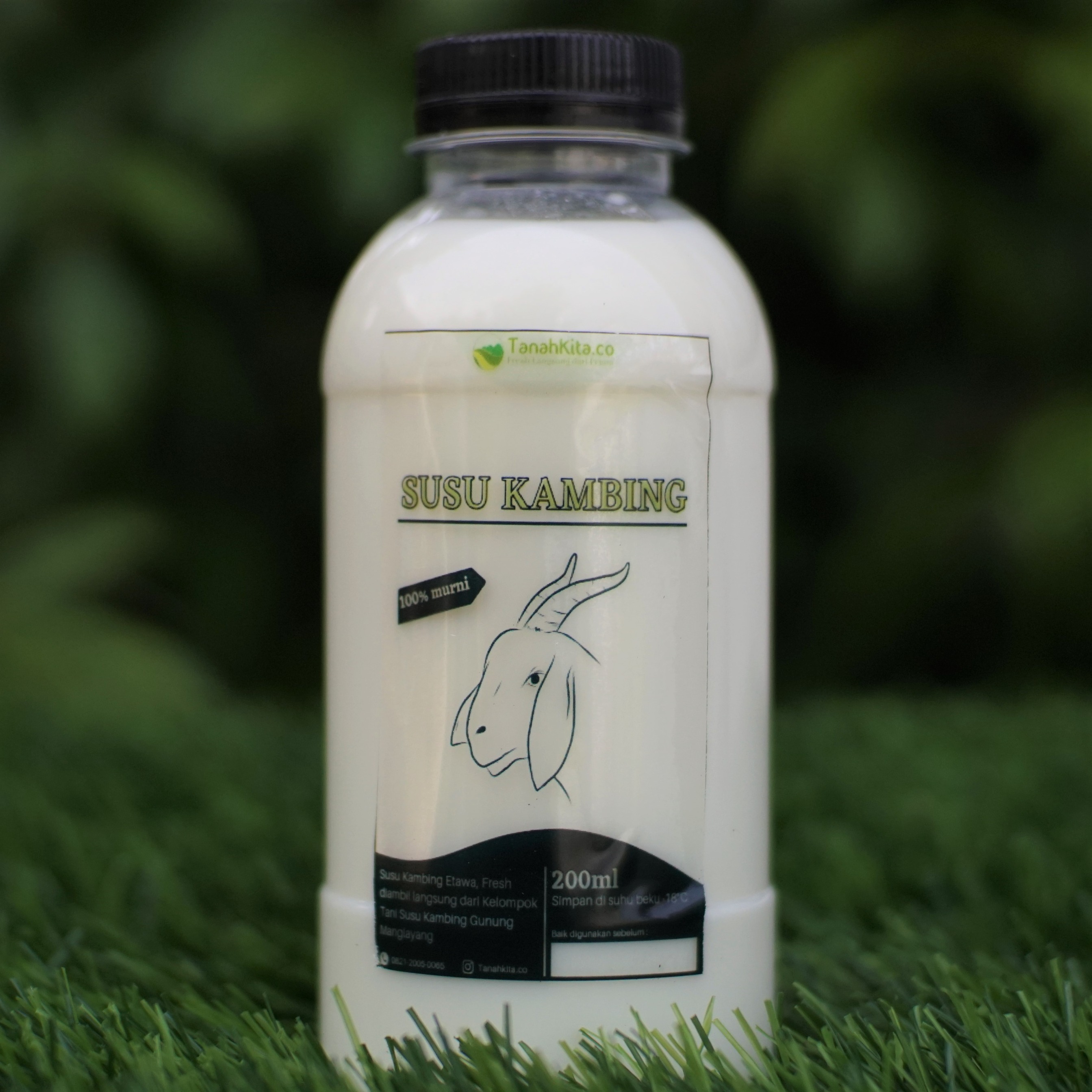 Susu Kambing Murni Etawa I Fresh langsung dari Peternak I 200ml