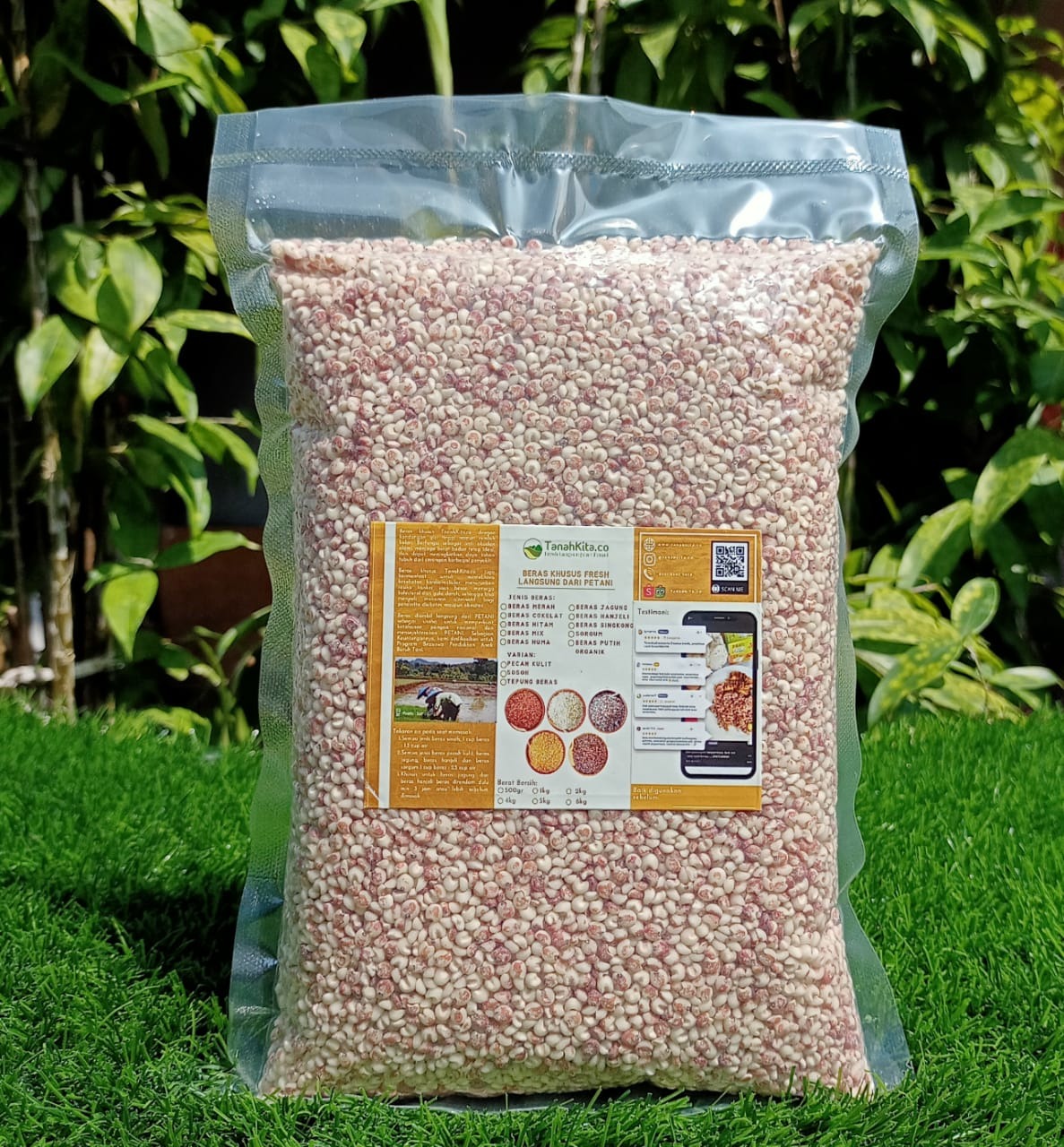 Beras Sorgum Sosoh FRESH langsung dari Petani I Sorghum I 1kg Vacuum