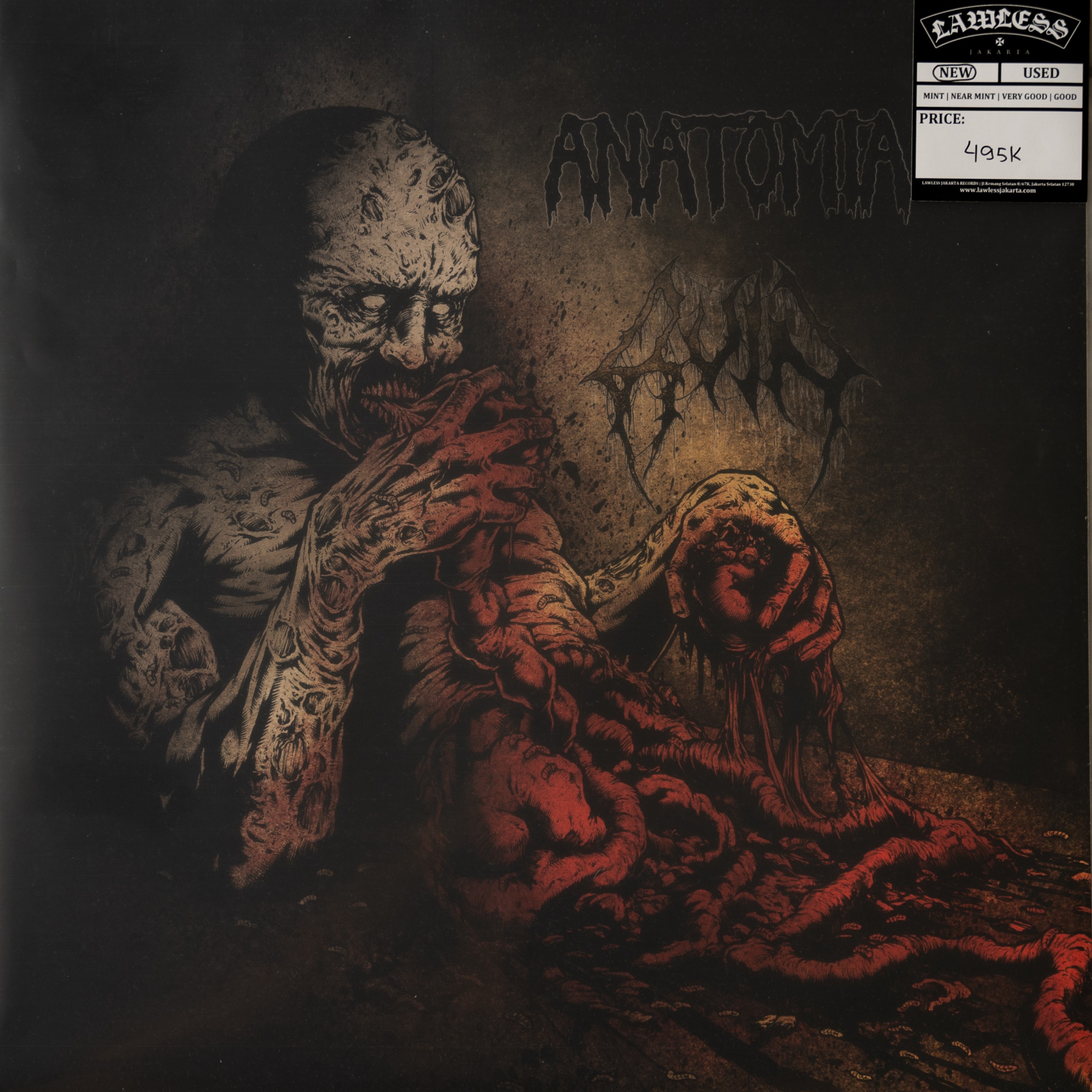 ANATOMIA - Ruin Split LP - Vinyl