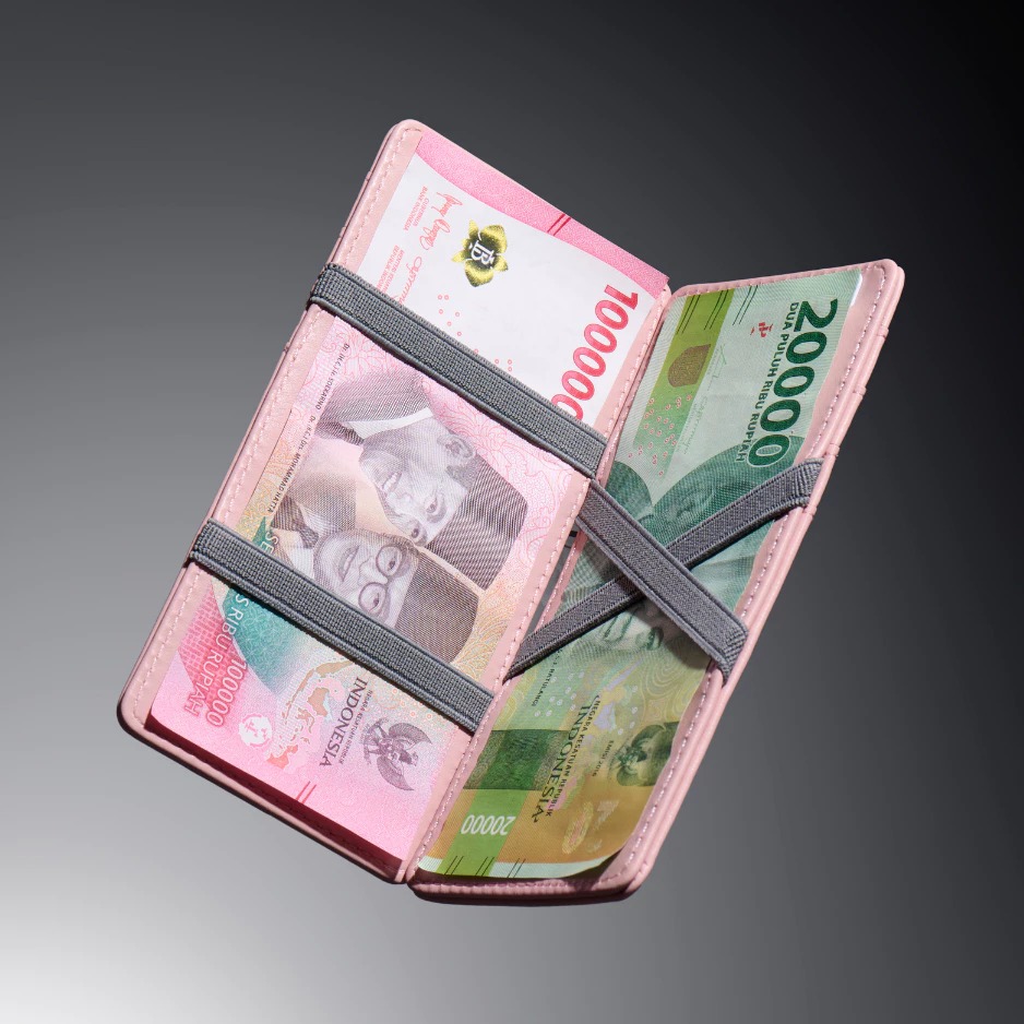Gala Wallet ProMax