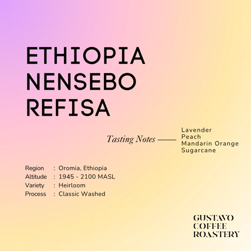 Image of Ethiopia Nensebo Refisa