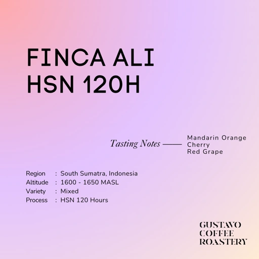 Image of Finca Ali HSN 120H