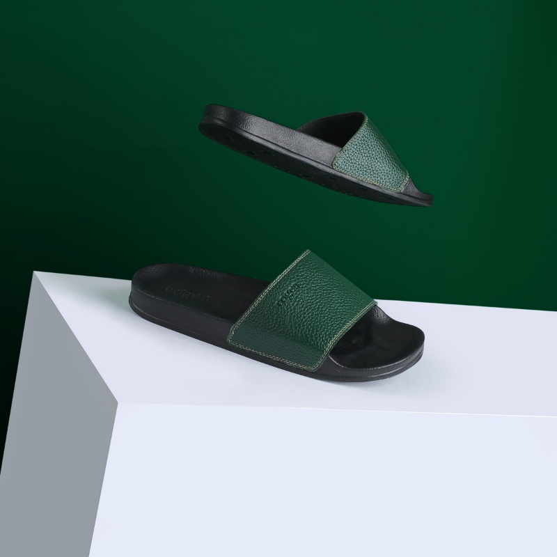 Cogen Basic - Green