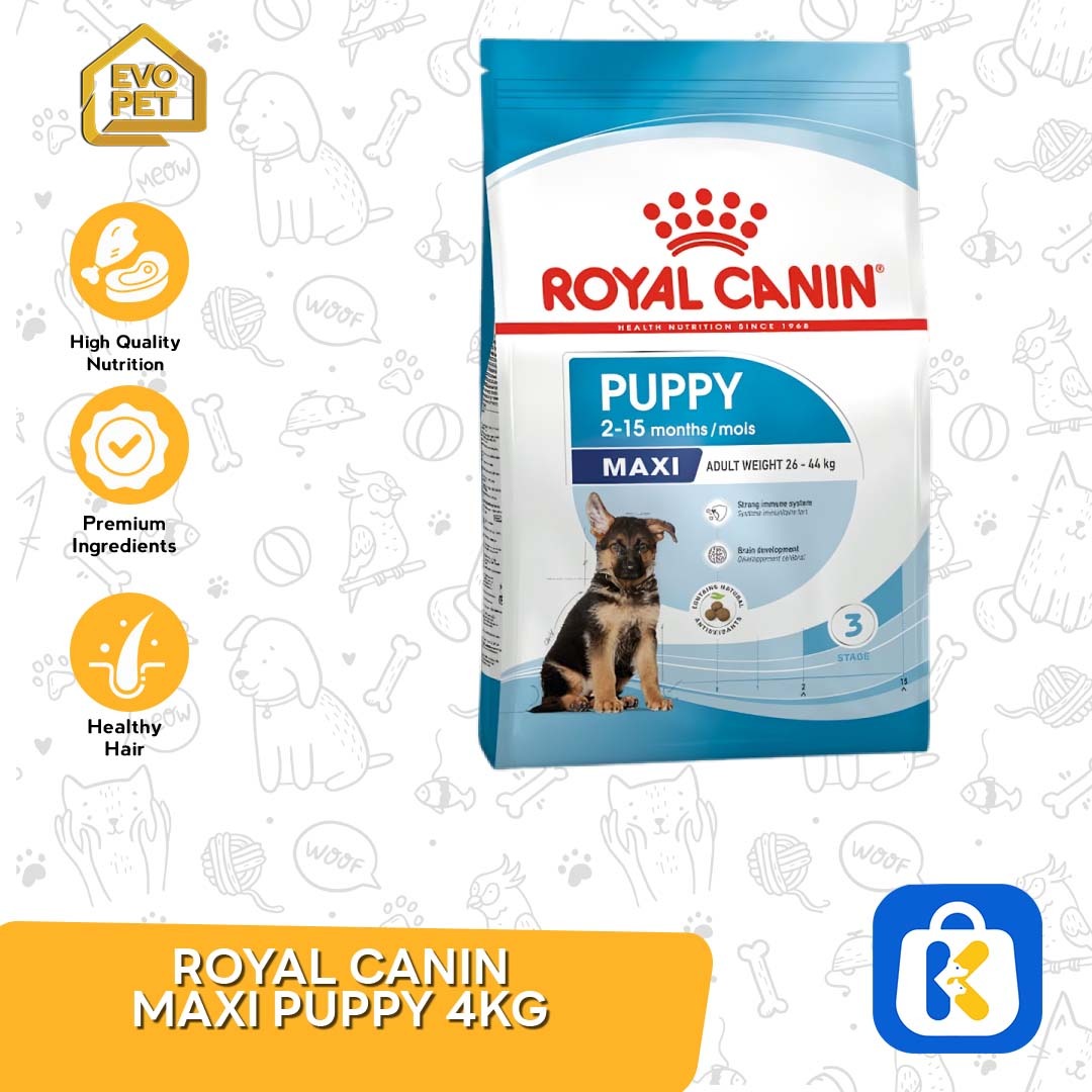 Makanan Anjing Royal Canin Maxi Junior 4 Kg