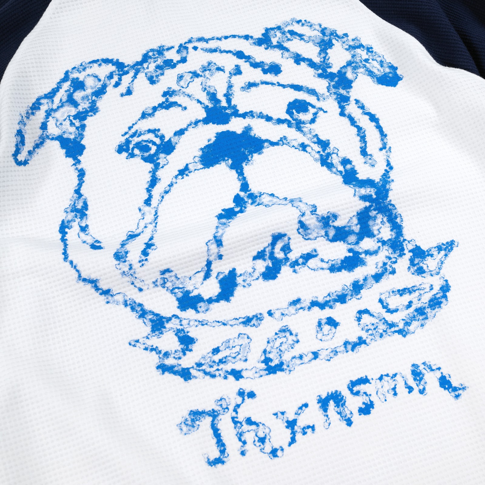 Raglan Longsleeve Julia White Navy Thanksinsomnia