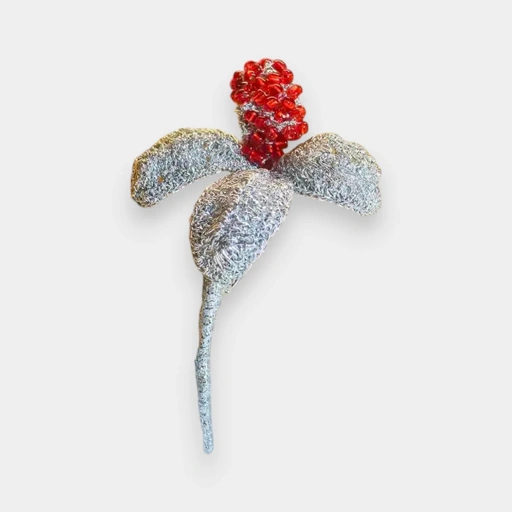 Image of TALASIA (TL - 1065)