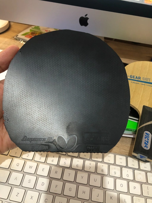 Image of Butterfly Dignics 05 15 x 15,5 cm Hitam 