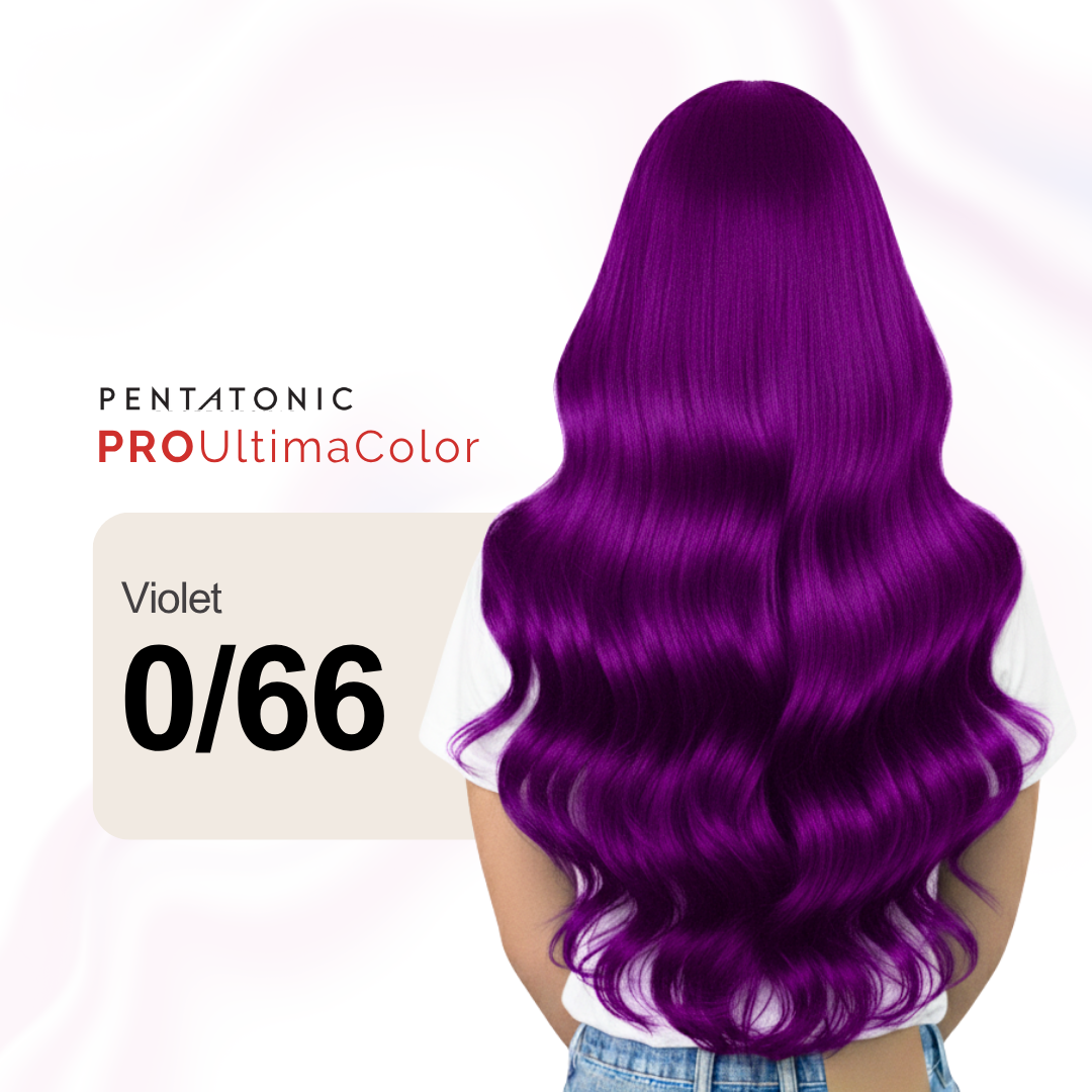 Violet 0/66