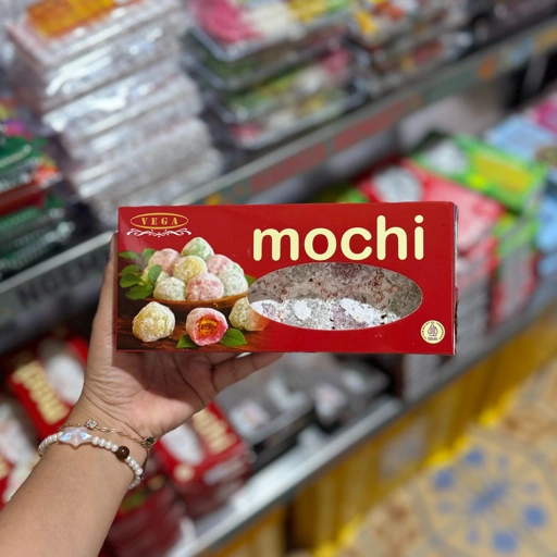 Image of Mochi Vega