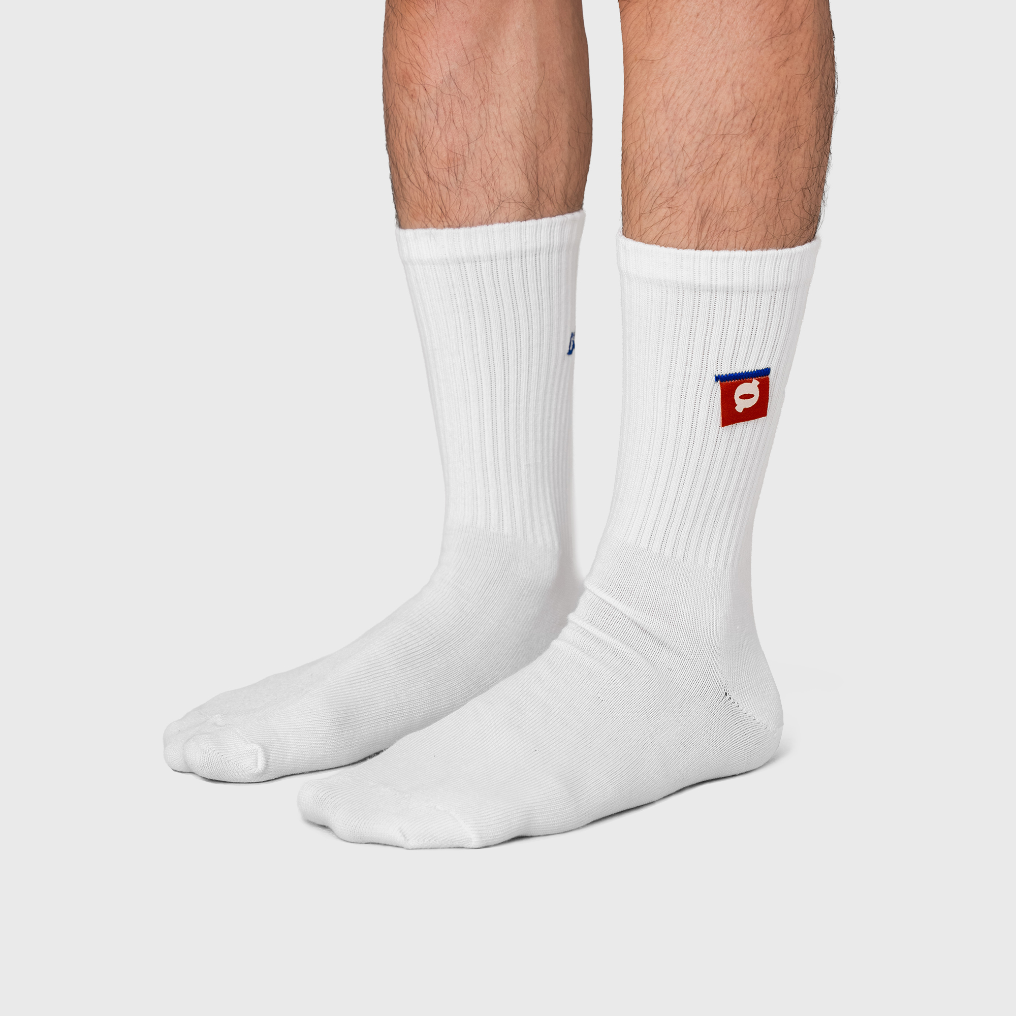 Noforty Project Cotton Socks WZG