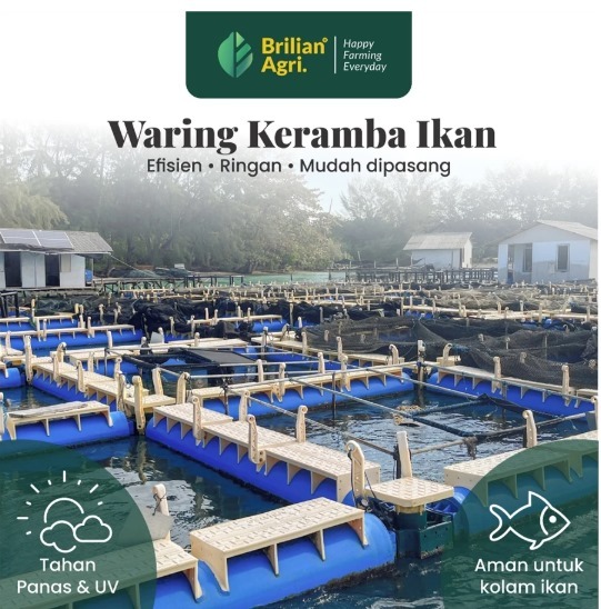 Jaring Waring Lebar 120 cm Jaring Pagar Tanaman, Jaringย Kerambaย Ikan