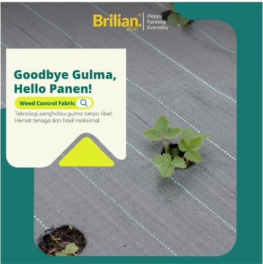 BRILIAN - Weedmat Lebar 2 Meter /Control Easy Grow Terpal Green House/ Woven Fabric Anti UV Weed Mat