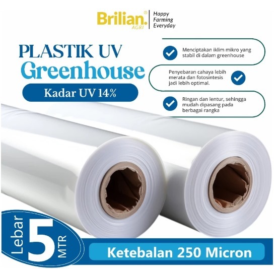 Plastik UV Green house Tebal 250 Micron 14% Lebar 5 Meter