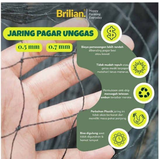 BRILIAN-Jaring Pagar Ayam 2 Meter Jaring Kandang Ayam Lebar 2 Meter Panjang 20-25 Meter