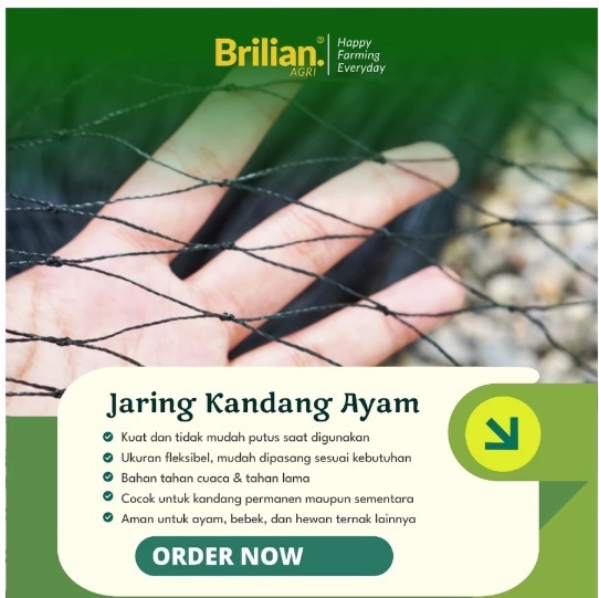 BRILIAN-Jaring Pagar Ayam 1,5 Meter Jaring Kandang Ayam Lebar 1,5 Meter Panjang 20-25 Meter