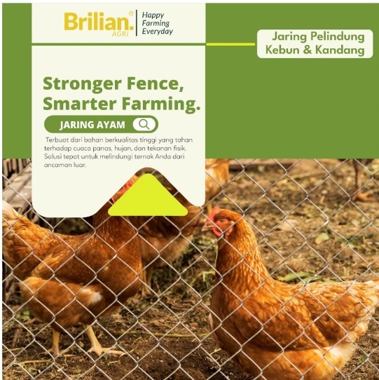 BRILIAN-Jaring Pagar Ayam 2 Meter Jaring Kandang Ayam Lebar 2 Meter Panjang 20-25 Meter