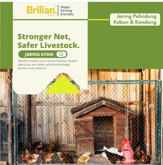 BRILIAN-Jaring Pagar Ayam 2 Meter Jaring Kandang Ayam Lebar 2 Meter Panjang 20-25 Meter