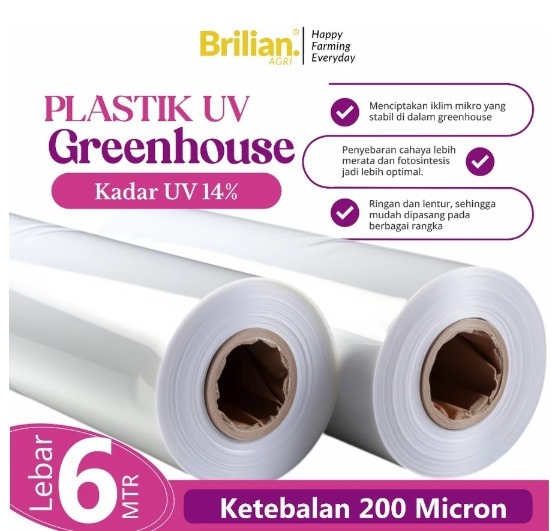 Plastik UV Green house Tebal 200 Mikron 14% Lebar 6 Meter