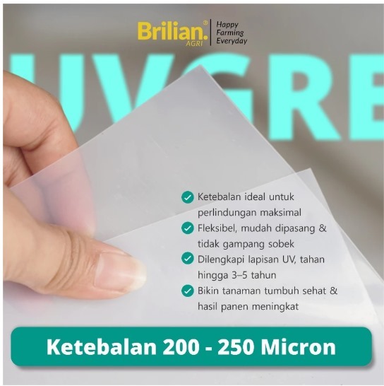 Plastik UV Green house Tebal 200 Mikron 14% Lebar 6 Meter