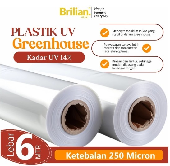 Plastik UV Green house Tebal 250 Mikron 14% Lebar 6 Meter
