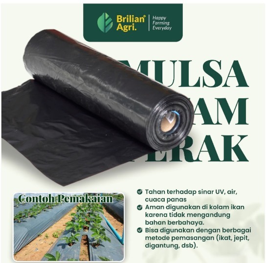 Plastik Mulsa Pertanian Hitam Perak Varian Tebal 05 dan 08 lebar 200 cm / 250 cm / 300 cm kemasan 1kg