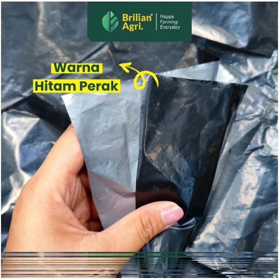 Plastik Mulsa Pertanian Hitam Perak Varian Tebal 05 dan 08 lebar 200 cm / 250 cm / 300 cm kemasan 1kg