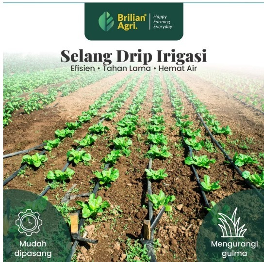 BRILIAN - Selang Drip 30 micron 4 dim 50 meter