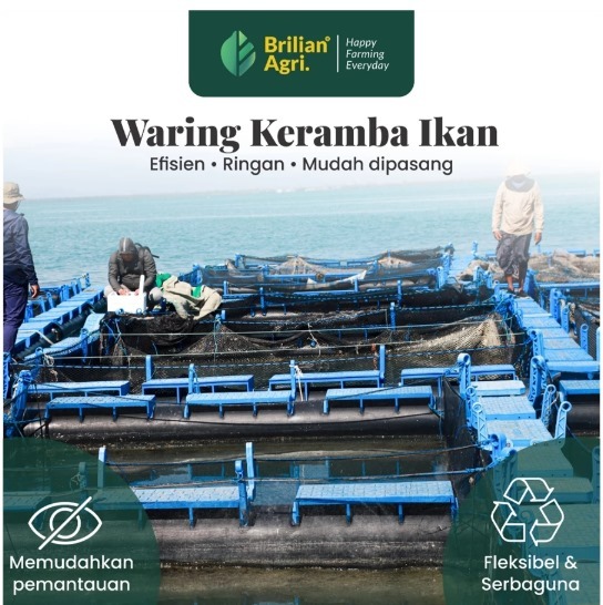 BRILIAN - Jaring waring lebar 120 cm panjang 25 meter
