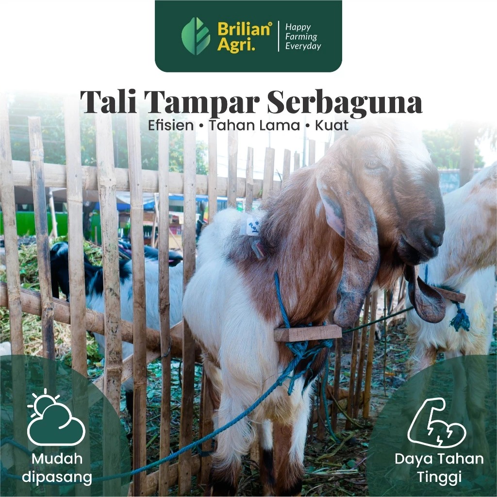 BRILIAN - Tambang / Tali Tampar Serbaguna Ukuran 5 mm Panjang 220 Meter