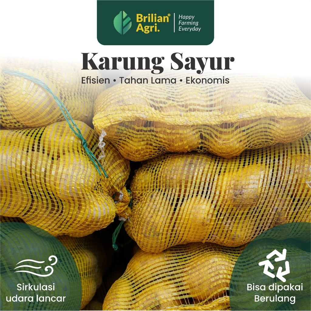 BRILIAN - KARUNG SAYUR JARING SAYUR BRONGSONG WARING SAYUR SAK SAYUR