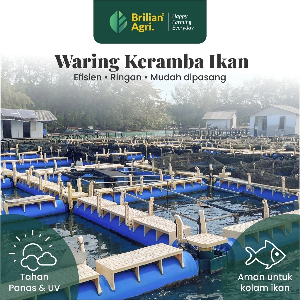 BRILIAN - Jaring waring lebar 120 cm panjang 50 meter
