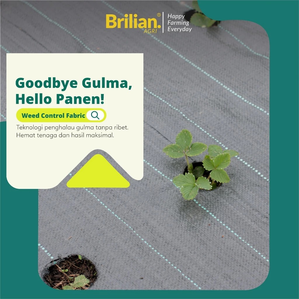 BRILIAN - Weedmat Lebar 1.2 Meter Panjang 50 Meter /Control Easy Grow Terpal Green House/ Woven Fabric Anti UV Weed Mat