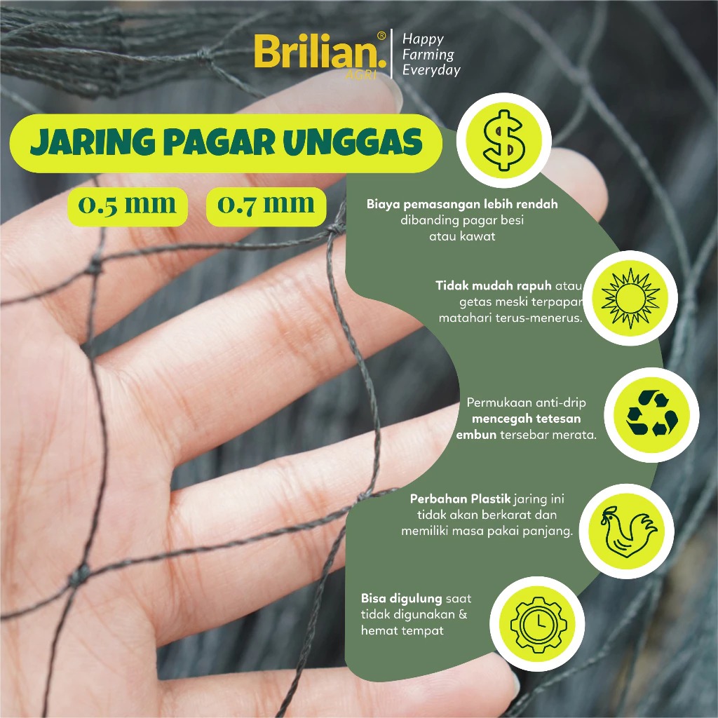 BRILIAN-Jaring Pagar Ayam 3 Meter Jaring Kandang Ayam Lebar 3 Meter Panjang 20-25 Meter