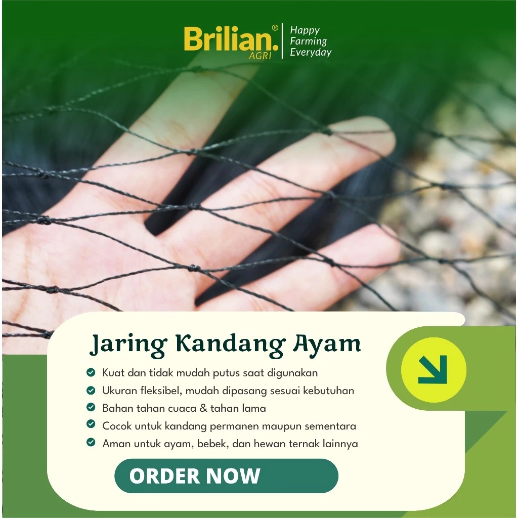 BRILIAN-Jaring Pagar Ayam 3 Meter Jaring Kandang Ayam Lebar 3 Meter Panjang 20-25 Meter