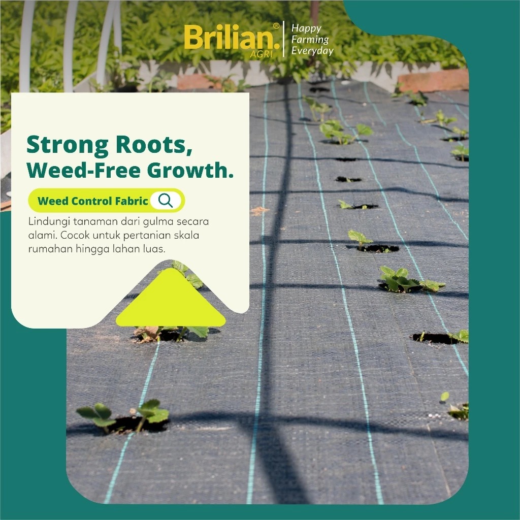BRILIAN - Weedmat Lebar 1.2 Meter Panjang 50 Meter /Control Easy Grow Terpal Green House/ Woven Fabric Anti UV Weed Mat