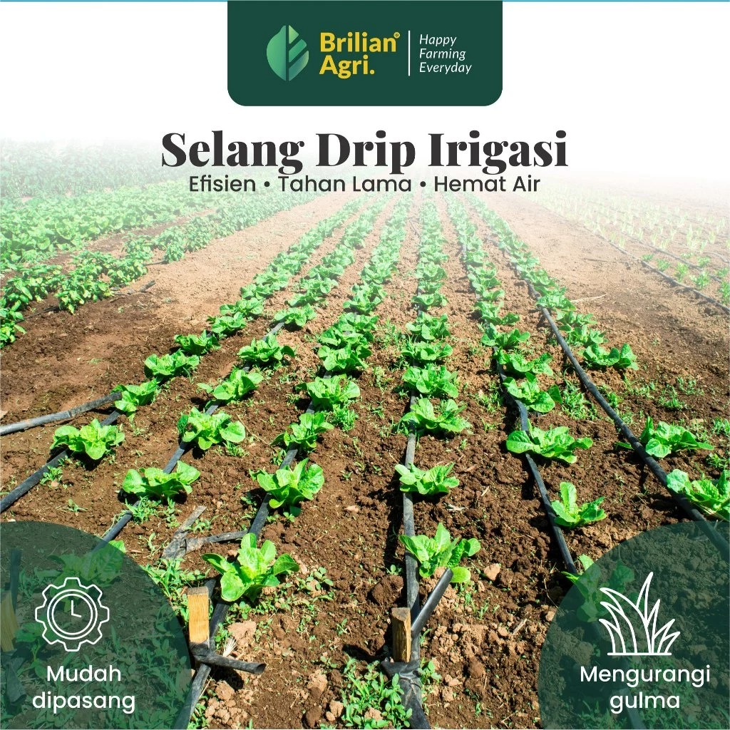 BRILIAN - Selang Drip Premium 40 micron 3 dim 50 meter - Pipa 3 inch