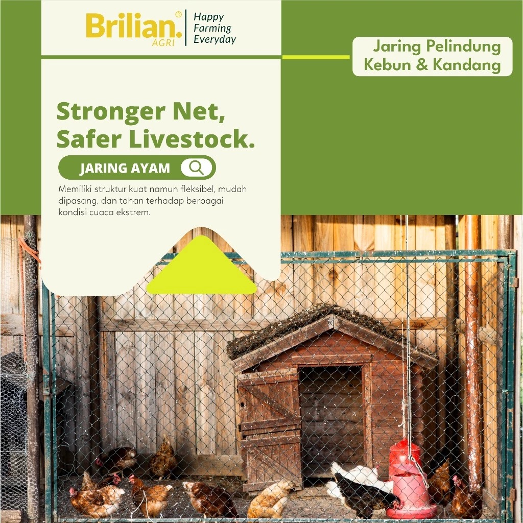 BRILIAN-Jaring Pagar Ayam 3 Meter Jaring Kandang Ayam Lebar 3 Meter Panjang 20-25 Meter