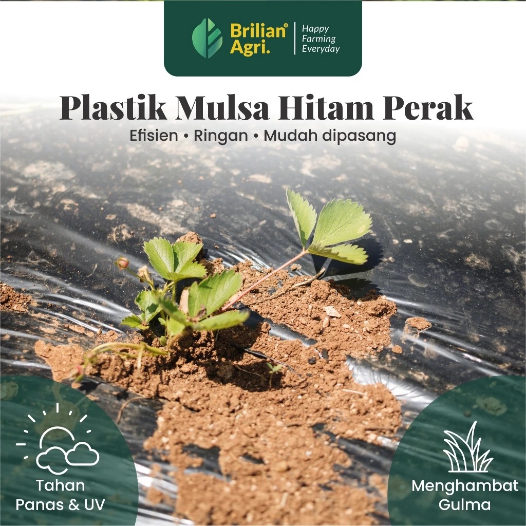 Plastik Mulsa Pertanian Hitam Perak Tebal 0.35 lebar160 cm roll berat 20,6 Kg