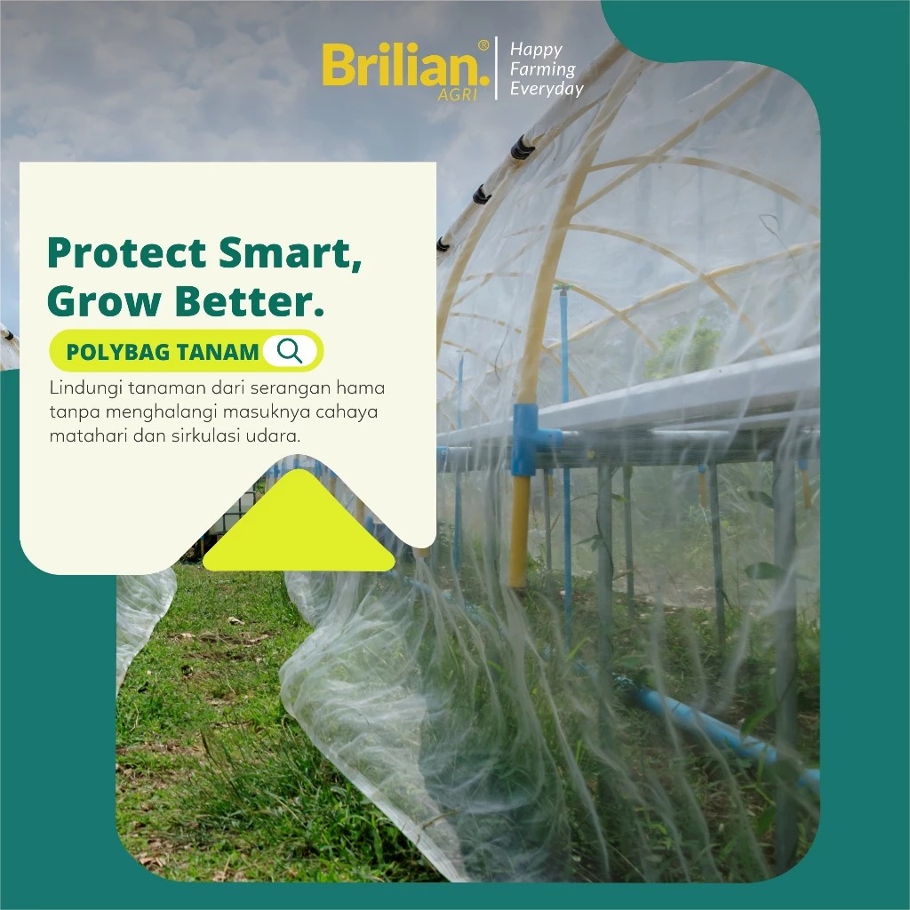 LEBAR 2 METER , JARING kasa iNSECT NET ( TANPA SAMBUNGAN )