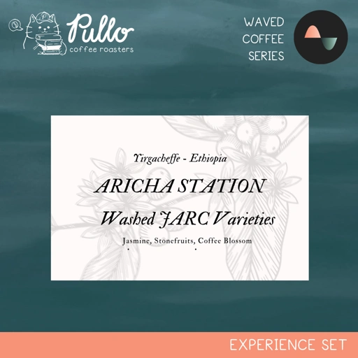 Image of Waved Experience Set - Aricha Station Ethiopia Washed JARC Varieties  - Filter Specialty Coffee Beans - Pullo Coffee Roasters