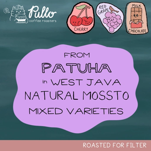 Image of Mt. Patuha West Java Natural Mossto Mixed Varieties - Filter Specialty Coffee Beans - Pullo Coffee Roasters