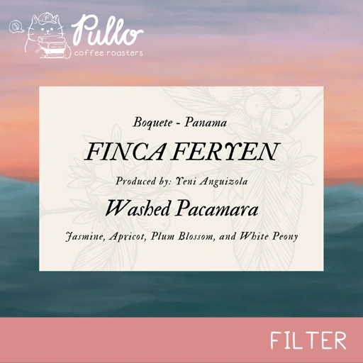 Image of Panama Finca Feryen Washed Pacamara - Filter Specialty Coffee Beans