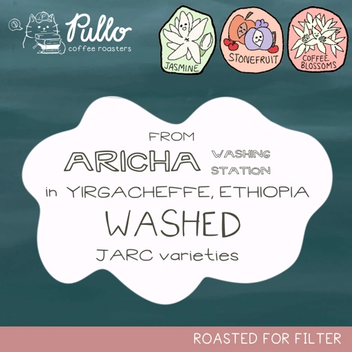 Image of Ethiopia Yirgacheffe Aricha Washed JARC Varieties - Filter Specialty Coffee Beans - Pullo Coffee Roasters