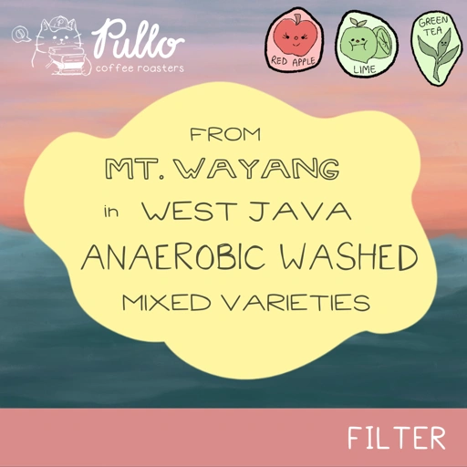 Image of Mt Wayang Anaerobic Washed Mixed Varieties - Filter Specialty Coffee Beans - Pullo Coffee Roasters