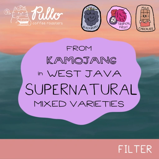 Image of Wanoja Kamojang Supernatural Mixed Varieties - Filter Specialty Coffee Beans