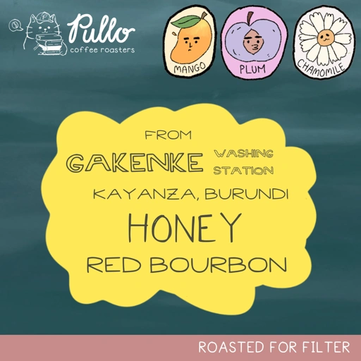 Image of Burundi Gakenke Honey Red Bourbon - Filter Specialty Coffee Beans - Pullo Coffee Roasters